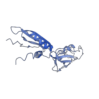 14200_7qxi_B_v1-1
Cryo-EM structure of RNA polymerase-sigma54 holo enzyme with promoter DNA closed complex
