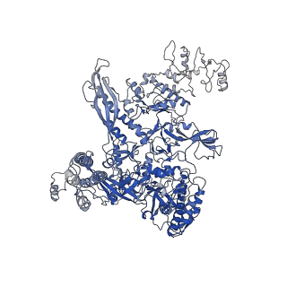 14200_7qxi_C_v1-1
Cryo-EM structure of RNA polymerase-sigma54 holo enzyme with promoter DNA closed complex