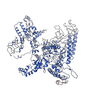 14200_7qxi_D_v1-1
Cryo-EM structure of RNA polymerase-sigma54 holo enzyme with promoter DNA closed complex