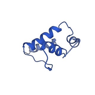 14200_7qxi_E_v1-1
Cryo-EM structure of RNA polymerase-sigma54 holo enzyme with promoter DNA closed complex