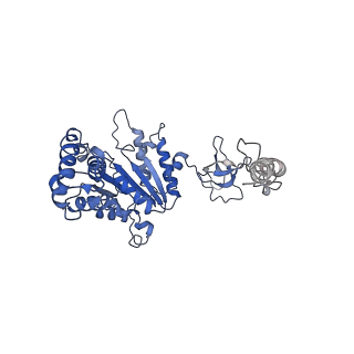 14201_7qxn_A_v1-0
Proteasome-ZFAND5 Complex Z+A state
