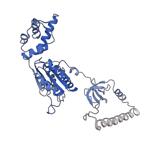 14201_7qxn_B_v1-0
Proteasome-ZFAND5 Complex Z+A state