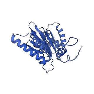 14201_7qxn_G_v1-0
Proteasome-ZFAND5 Complex Z+A state