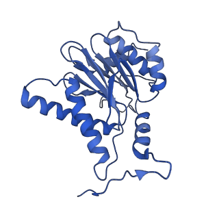 14201_7qxn_H_v1-0
Proteasome-ZFAND5 Complex Z+A state