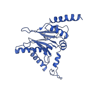 14201_7qxn_I_v1-0
Proteasome-ZFAND5 Complex Z+A state