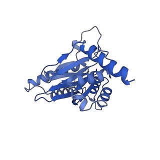 14201_7qxn_J_v1-0
Proteasome-ZFAND5 Complex Z+A state