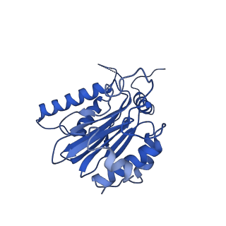 14201_7qxn_K_v1-0
Proteasome-ZFAND5 Complex Z+A state