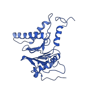 14201_7qxn_L_v1-0
Proteasome-ZFAND5 Complex Z+A state