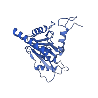 14201_7qxn_M_v1-0
Proteasome-ZFAND5 Complex Z+A state