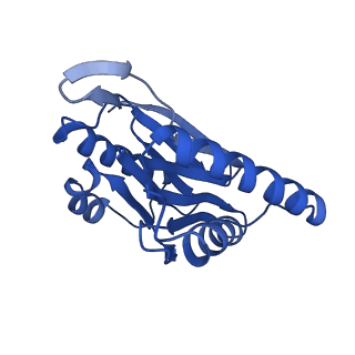 14201_7qxn_N_v1-0
Proteasome-ZFAND5 Complex Z+A state