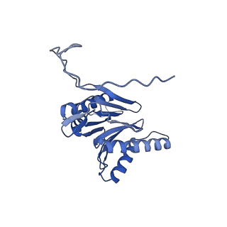 14201_7qxn_O_v1-0
Proteasome-ZFAND5 Complex Z+A state