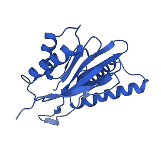 14201_7qxn_Q_v1-0
Proteasome-ZFAND5 Complex Z+A state