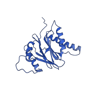 14201_7qxn_S_v1-0
Proteasome-ZFAND5 Complex Z+A state