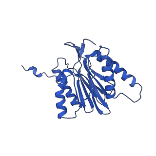 14201_7qxn_T_v1-0
Proteasome-ZFAND5 Complex Z+A state