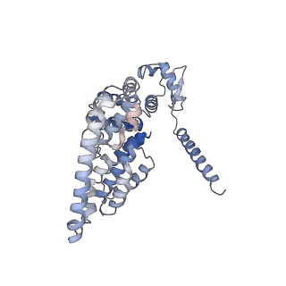 14201_7qxn_Y_v1-0
Proteasome-ZFAND5 Complex Z+A state