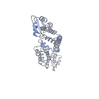 14201_7qxn_a_v1-0
Proteasome-ZFAND5 Complex Z+A state