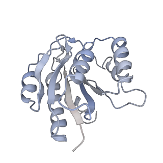 14201_7qxn_b_v1-0
Proteasome-ZFAND5 Complex Z+A state