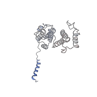 14201_7qxn_d_v1-0
Proteasome-ZFAND5 Complex Z+A state