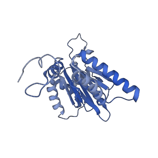 14201_7qxn_g_v1-0
Proteasome-ZFAND5 Complex Z+A state