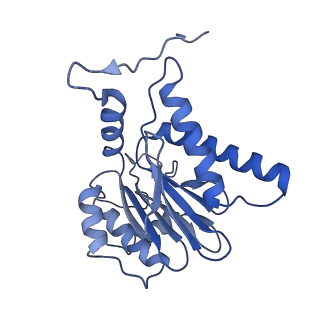 14201_7qxn_h_v1-0
Proteasome-ZFAND5 Complex Z+A state
