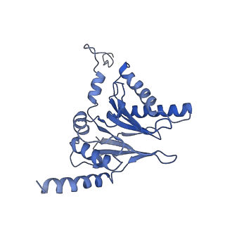 14201_7qxn_i_v1-0
Proteasome-ZFAND5 Complex Z+A state
