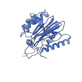 14201_7qxn_k_v1-0
Proteasome-ZFAND5 Complex Z+A state