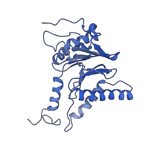 14201_7qxn_l_v1-0
Proteasome-ZFAND5 Complex Z+A state