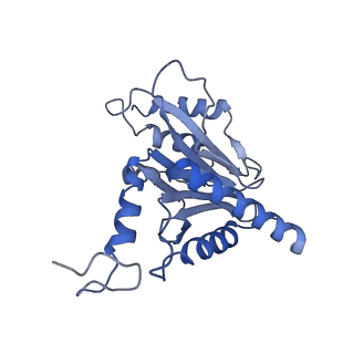 14201_7qxn_m_v1-0
Proteasome-ZFAND5 Complex Z+A state