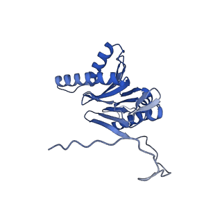 14201_7qxn_o_v1-0
Proteasome-ZFAND5 Complex Z+A state