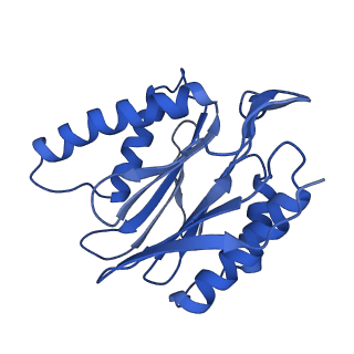 14201_7qxn_p_v1-0
Proteasome-ZFAND5 Complex Z+A state