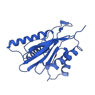 14201_7qxn_q_v1-0
Proteasome-ZFAND5 Complex Z+A state