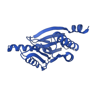 14201_7qxn_r_v1-0
Proteasome-ZFAND5 Complex Z+A state