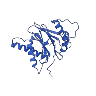 14201_7qxn_s_v1-0
Proteasome-ZFAND5 Complex Z+A state