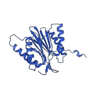 14201_7qxn_t_v1-0
Proteasome-ZFAND5 Complex Z+A state