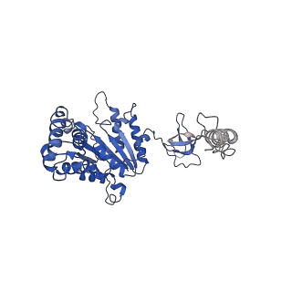 14202_7qxp_A_v1-0
Proteasome-ZFAND5 Complex Z+B state