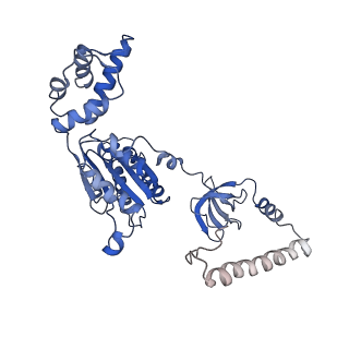 14202_7qxp_B_v1-0
Proteasome-ZFAND5 Complex Z+B state
