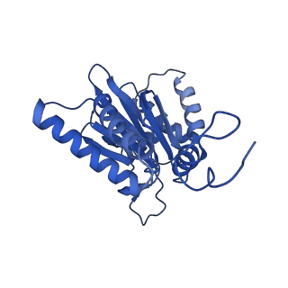 14202_7qxp_G_v1-0
Proteasome-ZFAND5 Complex Z+B state