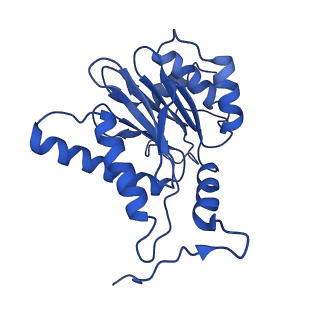 14202_7qxp_H_v1-0
Proteasome-ZFAND5 Complex Z+B state