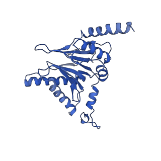 14202_7qxp_I_v1-0
Proteasome-ZFAND5 Complex Z+B state