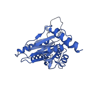 14202_7qxp_J_v1-0
Proteasome-ZFAND5 Complex Z+B state