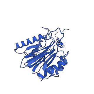 14202_7qxp_K_v1-0
Proteasome-ZFAND5 Complex Z+B state