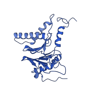 14202_7qxp_L_v1-0
Proteasome-ZFAND5 Complex Z+B state