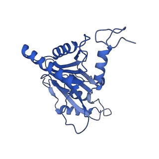 14202_7qxp_M_v1-0
Proteasome-ZFAND5 Complex Z+B state