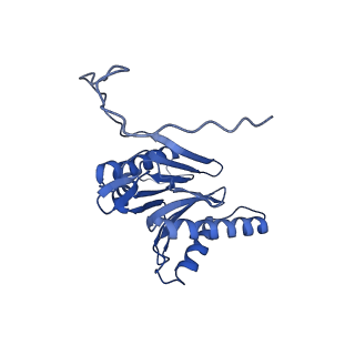 14202_7qxp_O_v1-0
Proteasome-ZFAND5 Complex Z+B state