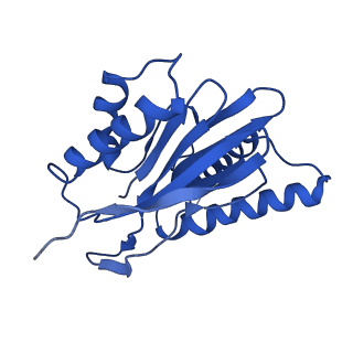 14202_7qxp_Q_v1-0
Proteasome-ZFAND5 Complex Z+B state
