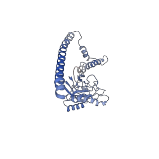 14202_7qxp_Z_v1-0
Proteasome-ZFAND5 Complex Z+B state
