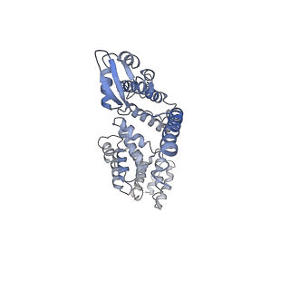 14202_7qxp_a_v1-0
Proteasome-ZFAND5 Complex Z+B state