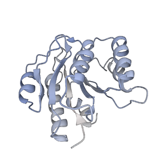 14202_7qxp_b_v1-0
Proteasome-ZFAND5 Complex Z+B state