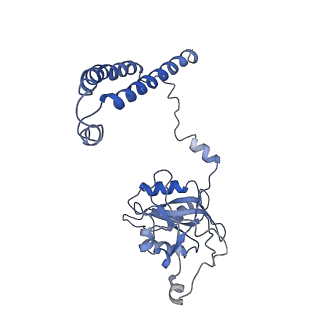 14202_7qxp_c_v1-0
Proteasome-ZFAND5 Complex Z+B state