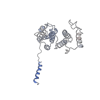 14202_7qxp_d_v1-0
Proteasome-ZFAND5 Complex Z+B state